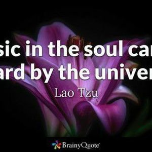 Meet your Posher, Melonie